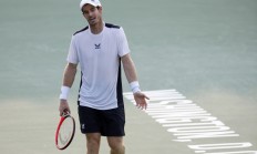 米兰百家乐-包含美国网球队横扫日本网球队，穆雷惊艳世界的词条