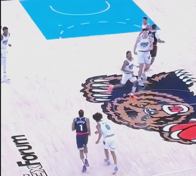 太阳力克灰熊，哈登扛起全队的简单介绍